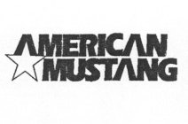 AMERICAN MUSTANG