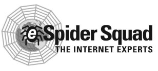 E SPIDER SQUAD THE INTERNET EXPERTS