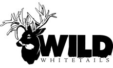 WILD WHITETAILS