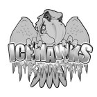 ICEHAWKS