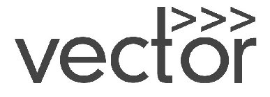 VECTOR>>>