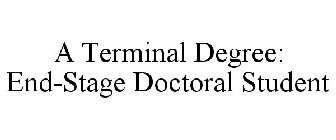 A TERMINAL DEGREE: END-STAGE DOCTORAL STUDENT