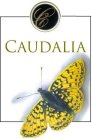 C CAUDALIA