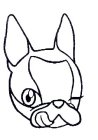 Image Trademark