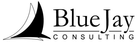 BLUE JAY CONSULTING