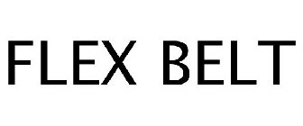 FLEX BELT