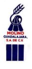 MOLINO GUADALAJARA. S.A. DE C.V.