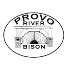 PROVO RIVER BISON