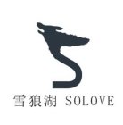 S SOLOVE