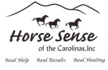 HORSE SENSE OF THE CAROLINAS INC. REAL HELP REAL RESULTS REAL HEALING