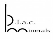 B.L.A.C. MINERALS