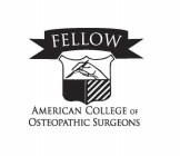 FELLOW AMERICAN COLLEGE OF OSTEOPATHIC SURGEONS