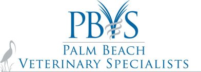 PBVS PALM BEACH VETERINARY SPECIALISTS
