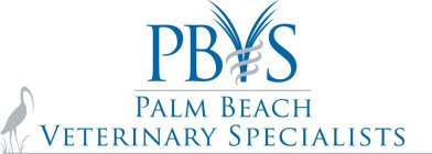 PBVS PALM BEACH VETERINARY SPECIALISTS