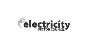 ELECTRICITY SECTOR COUNCIL