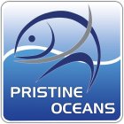 PRISTINE OCEANS