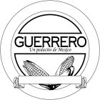 GUERRERO UN PEDACITO DE MEXICO