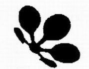 Image Trademark
