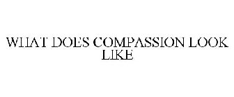WHAT DOES COMPASSION LOOK LIKE