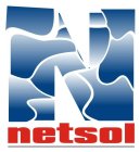 NETSOL N