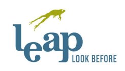 LEAP LOOK BEFORE
