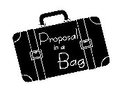 PROPOSAL IN A BAG