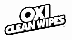 OXI CLEAN WIPES
