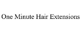 ONE MINUTE HAIR EXTENSIONS