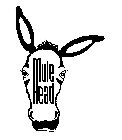 MULE HEAD