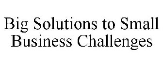 BIG SOLUTIONS TO SMALL BUSINESS CHALLENGES