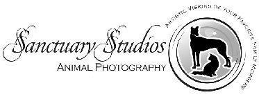 SANCTUARY STUDIOS ANIMAL PHOTOGRAPHY ARTISTIC VISIONS OF YOUR FAVORITE FAMILY MEMBERS