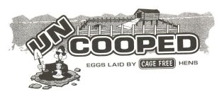 UNCOOPED EGGS LAID BY CAGE FREE HENS