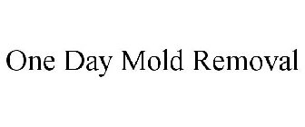 ONE DAY MOLD REMOVAL