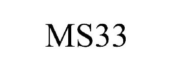 MS33