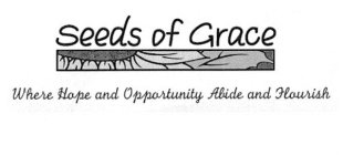 SEEDS OF GRACE WHERE HOPE AND OPPORTUNITY ABIDE AND FLOURISH
