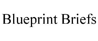 BLUEPRINT BRIEFS