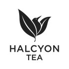 HALCYON TEA