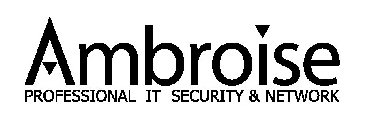 AMBROISE PROFESSIONAL IT SECURITY & NETWORK