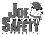 JOE BAUMGARDNER SAFETY CONSULTING