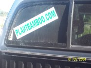 PLANTBAMBOO.COM