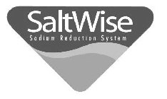 SALTWISE SODIUM REDUCTION SYSTEM