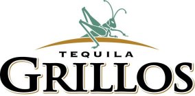 TEQUILA GRILLOS