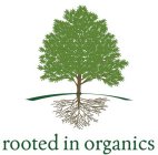 ROOTED IN ORGANICS