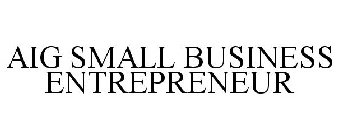 AIG SMALL BUSINESS ENTREPRENEUR