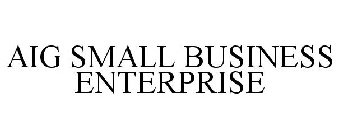 AIG SMALL BUSINESS ENTERPRISE
