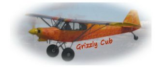 GRIZZLY CUB