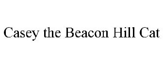 CASEY THE BEACON HILL CAT
