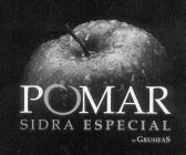 POMAR SIDRA ESPECIAL DE GRUSIFAS