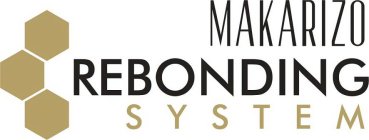 MAKARIZO REBONDING SYSTEM