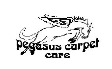 PEGASUS CARPET CARE